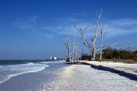 "Lovers Key Beach and State Park" by Virginia N. Fred | Redbubble