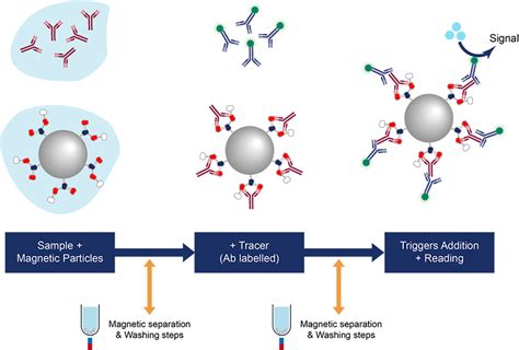 Magnetic Beads For Chemiluminescence Immunoassay CD Bioparticles