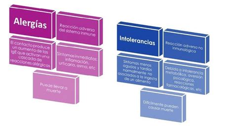 Cuadros Comparativos Entre La Intolerancia Y La Alergia Definiciones