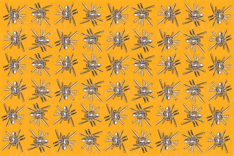 Spider Pattern Del Colaborador De Stocksy Pepino De Mar Studio