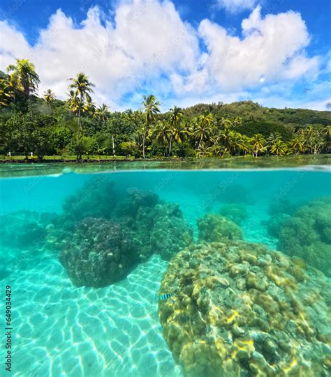 Over Unders Overwater Underwater Split Shot Pacific Ocean And