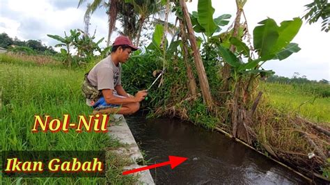 Jangan Remehkan Spot Parit Kecil Ini Ternyata Mancing Ikan Wader Di