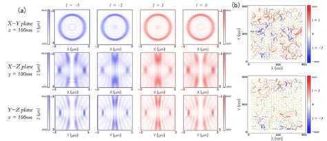 A The Polarization Ellipse And Intensity Distributions Of The í µí±¥í