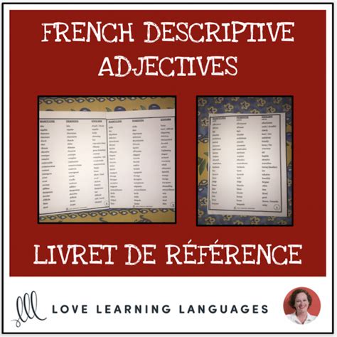 French Descriptive Adjectives Booklet