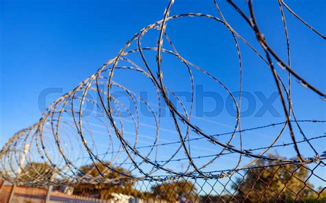 Fence with a barbed wire | Stock image | Colourbox