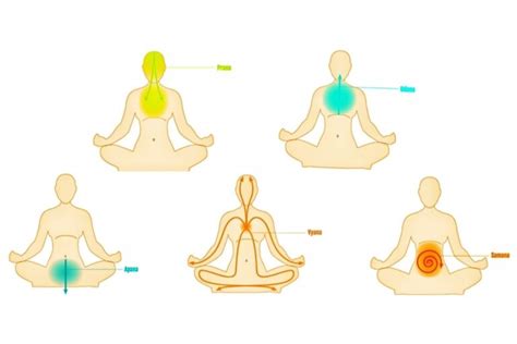 Kundalini Activation Process Fully Guided Chakra Meditation For