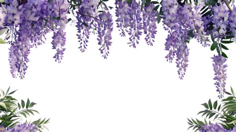 Wisteria Png Transparent Images Free Download Vector Files Pngtree