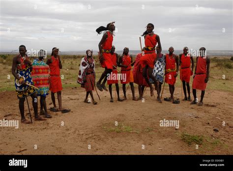 Group Of Maasai Masai Warriors Jump Dancing Stock Photo Alamy