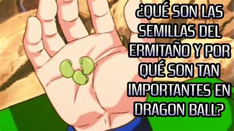 Semillas Del Ermita O En Dragon Ball Que Son Y Para Que Se Utilizan