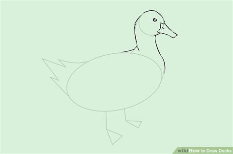 Realistic Duck Drawing at GetDrawings | Free download