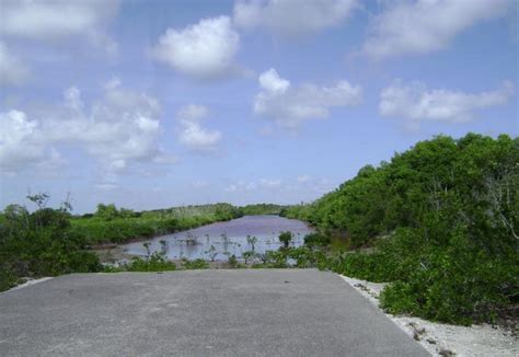 Dagny Johnson Key Largo Hammock Botanical State Park Florida State Parks