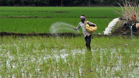 Indias Fertiliser Subsidy Set To Rise By 62 In Current Financial Year