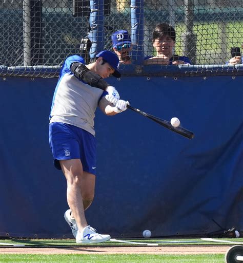 水谷隼氏、大谷翔平のフリー打撃にほれぼれ「ふくらはぎの筋肉がすごく割れている。楽しみ」 社会写真ニュース 日刊スポーツ