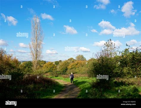 Pulborough Brooks An Rspb Nature Reserve West Sussex England Uk