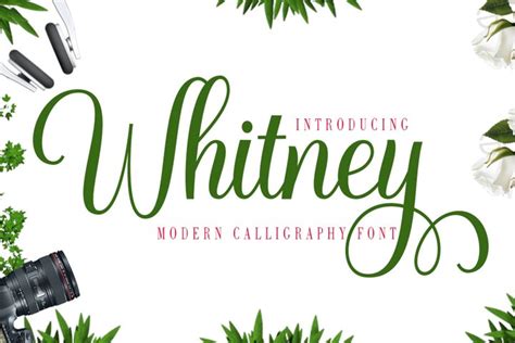 Whitney (750071) | Calligraphy | Font Bundles