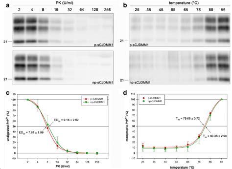 Analysis Of Prp Sc Pk Resistance A C And Thermo Solubility B D