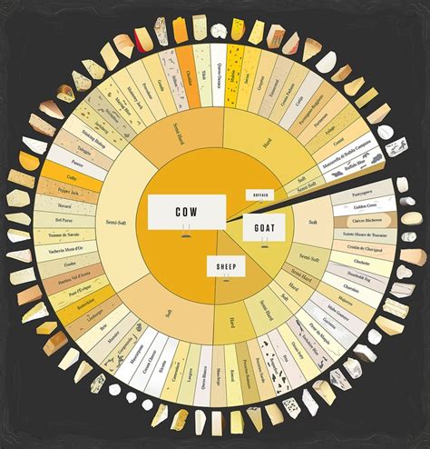 The Charted Cheese Wheel Your Complete Guide To Different Cheeses Larger Version Here