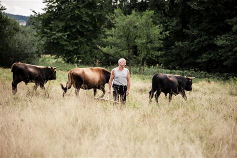 Land Belebt Michael Ferstl