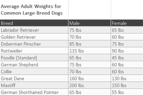 99 Golden Retriever Weight Chart L2sanpiero