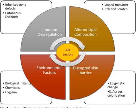 Figure 2 From Emerging Nanomedicines For The Treatment Of Atopic Dermatitis Semantic Scholar