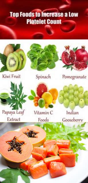 The Best Foods To Increase Blood Platelets Naturally Health And Fitnes