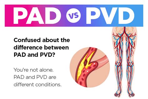 Peripheral Arterial Disease Vs Peripheral Vascular Disease