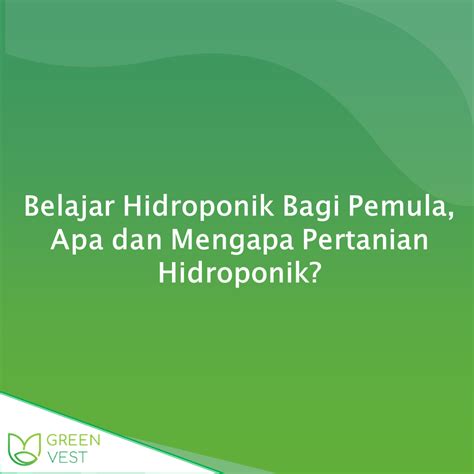 Apa Dan Mengapa Pertanian Hidroponik Belajar Hidroponik Bagi Pemula