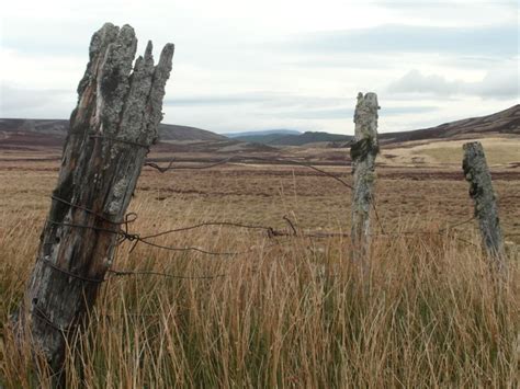 Old Fence Old Fences Barbed Wire Fencing Farm Scene