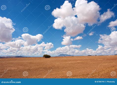 Desert Field Under Majestic Skies Stock Image Image Of Agriculture