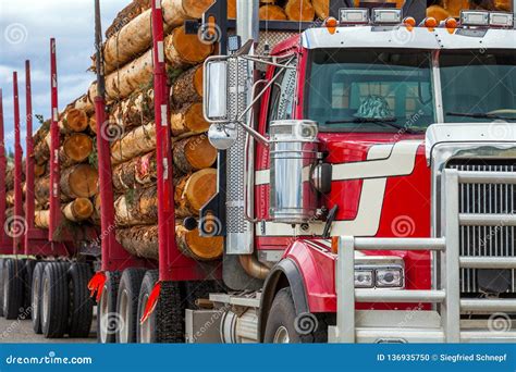 Loaded Timber Trucks Transport Timber Logs With An Overload On The