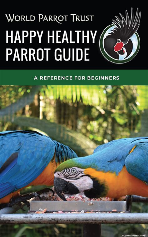 Parrot Guide for Beginners – INT – World Parrot Trust – Download