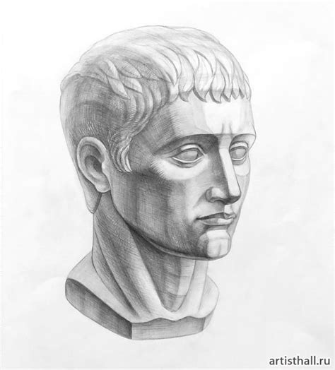 Рисунок головы Германика | Anatomy art, Portrait art, Animal drawings ...