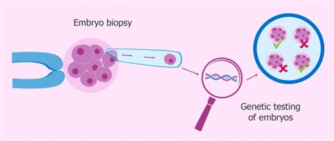 The Pgd Process Step By Step