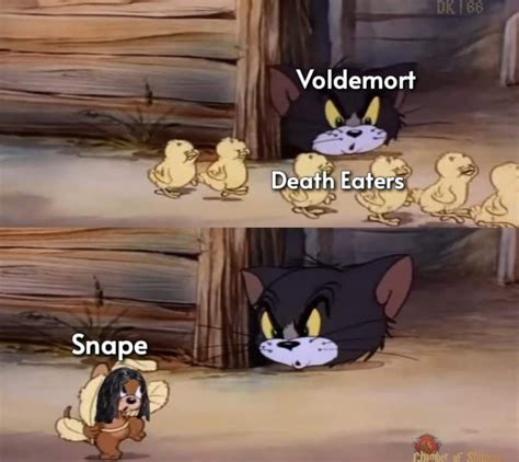 Voldy Meme By Nicky Ta Memedroid