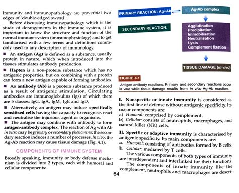 Solution Immunopathology Including Amyloidosis Studypool