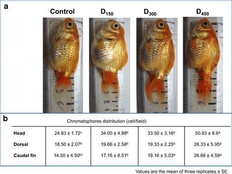 Effect Of Microencapsulated Anthocyanins On Pigmentation And