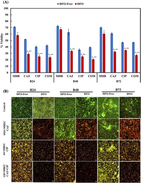 Representative Cell Viability Levels In 24 48 And 72 H Biofilms Of B