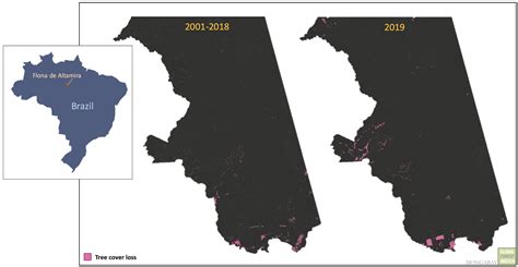 1230-altamira-2001-2019-map - Waking Times