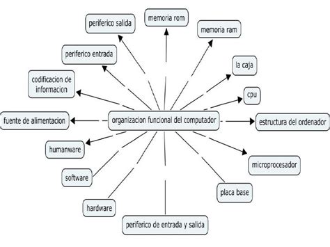 Organizacion Funcional Mapa Mental