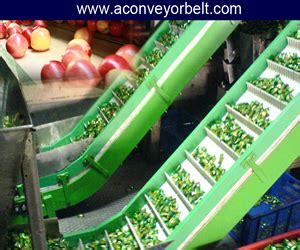 Conveyor Belt For Food, Food Grade Conveyor Belts