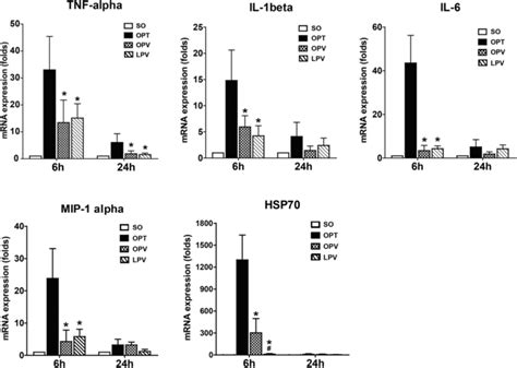 Assessment Of Inflammatory Cytokine Gene Expression Tnf α Il 1β And