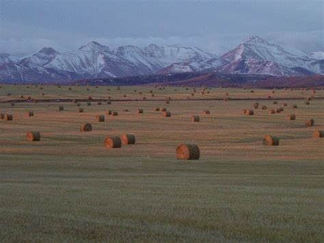 Calgary Study Leave Countryside Window Opening Natural Landmarks