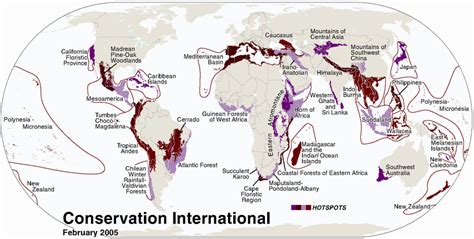 Biodiversity Hotspots Of The World Source Conservation International Download Scientific