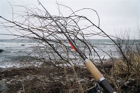 Fiskedagbog Dk Sters En Giver Sters En Tar Og I Dag