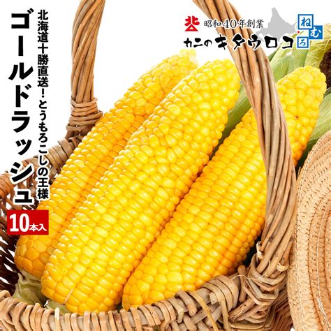 260000本突破！ とうもろこしの王様 朝もぎで生でも食べられる♪ 北海道産 十勝直送 ゴールドラッシュ 10本入 送料無料 指定日不可