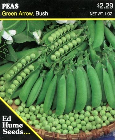 Peas – Green Arrow, Bush – Hume Seeds