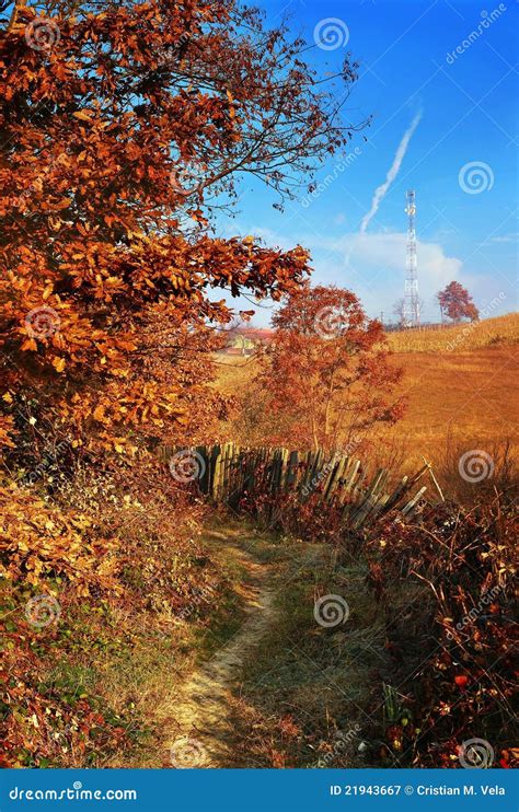 Autumn countryside stock image. Image of yellow, autumnal - 21943667