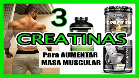 Las Mejores Creatinas Para Aumentar Masa Muscular R Pido Este