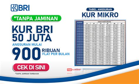 KUR BRI Rp50 Juta 2023 Cek Syarat Dan Cicilan Per Bulan Lewat Tabel