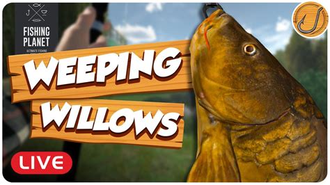 Back To Selenge Taimen Free To Play Fishing Planet Live Youtube